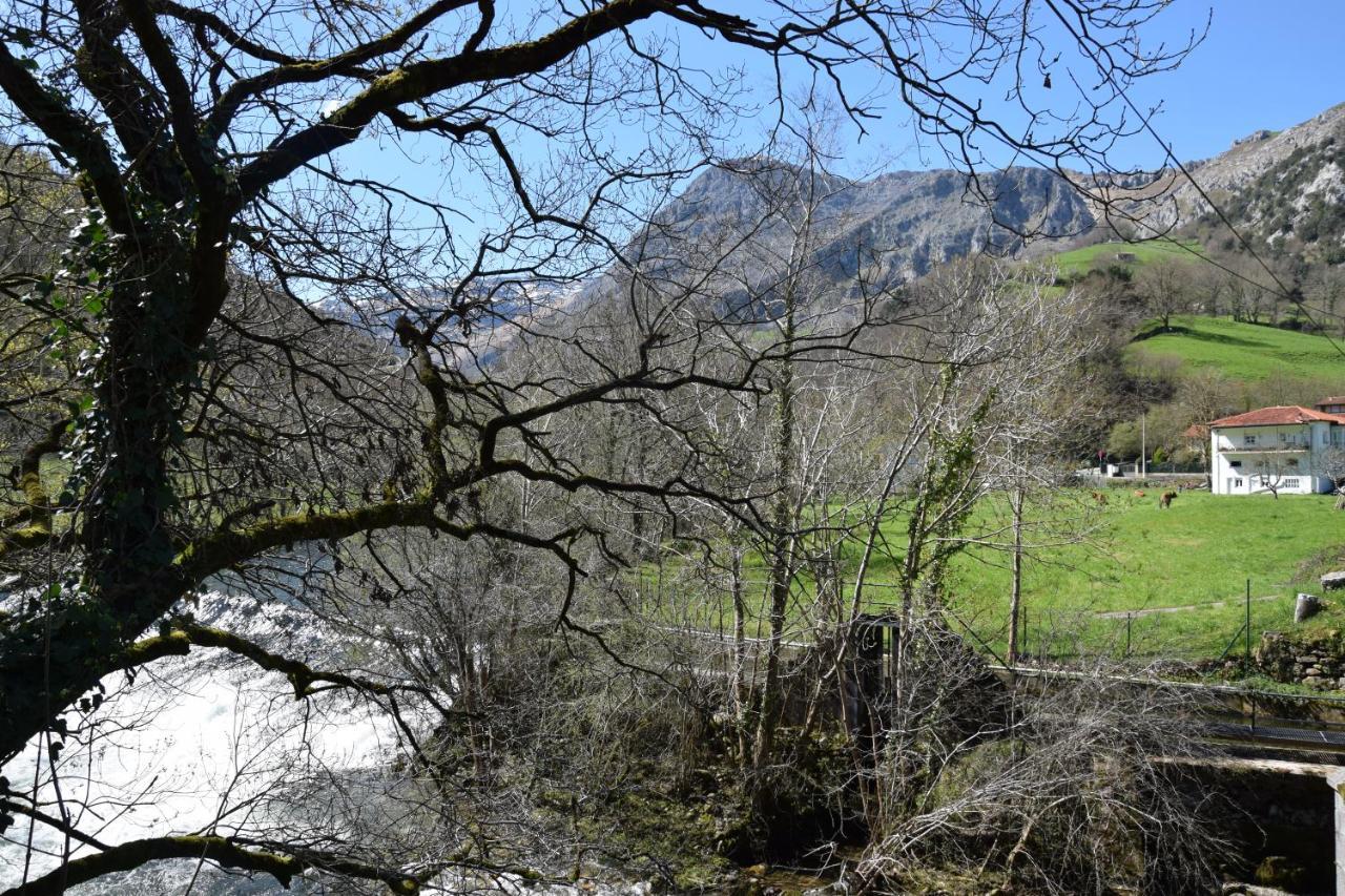 ArredondoViv Tur La Quintana I公寓 外观 照片